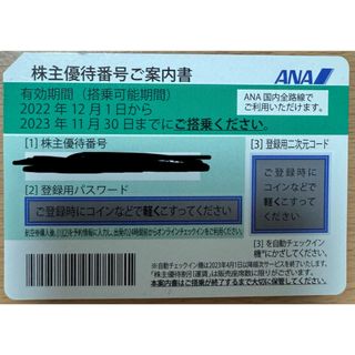 エーエヌエー(ゼンニッポンクウユ)(ANA(全日本空輸))のANA 株主優待　搭乗期限:2023.11.30(航空券)