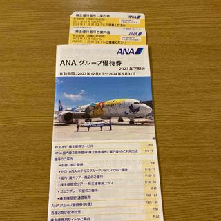 エーエヌエー(ゼンニッポンクウユ)(ANA(全日本空輸))のANA（全日空） 株主優待券２枚 ＋ グループ優待冊子1冊(航空券)