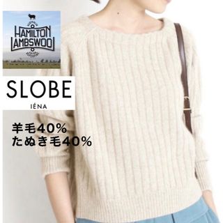 スローブイエナ(SLOBE IENA)の美品　イエナ　ハミルトンウール　タヌキ毛混（23区icb自由区インディヴィ組曲）(ニット/セーター)