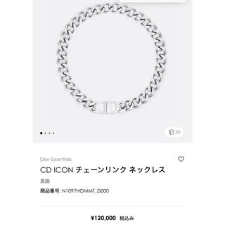 現行　美品　Dior　ディオール　CDアイコン　 チェーンリンク　ネックレス　袋