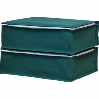 アストロ 収納ケース 衣類用 2枚組 グリーン 不織布 通気性 三方開き 防塵 (ケース/ボックス)