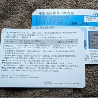 エーエヌエー(ゼンニッポンクウユ)(ANA(全日本空輸))のANA 全日本空輸 株主優待券 2枚セット(航空券)