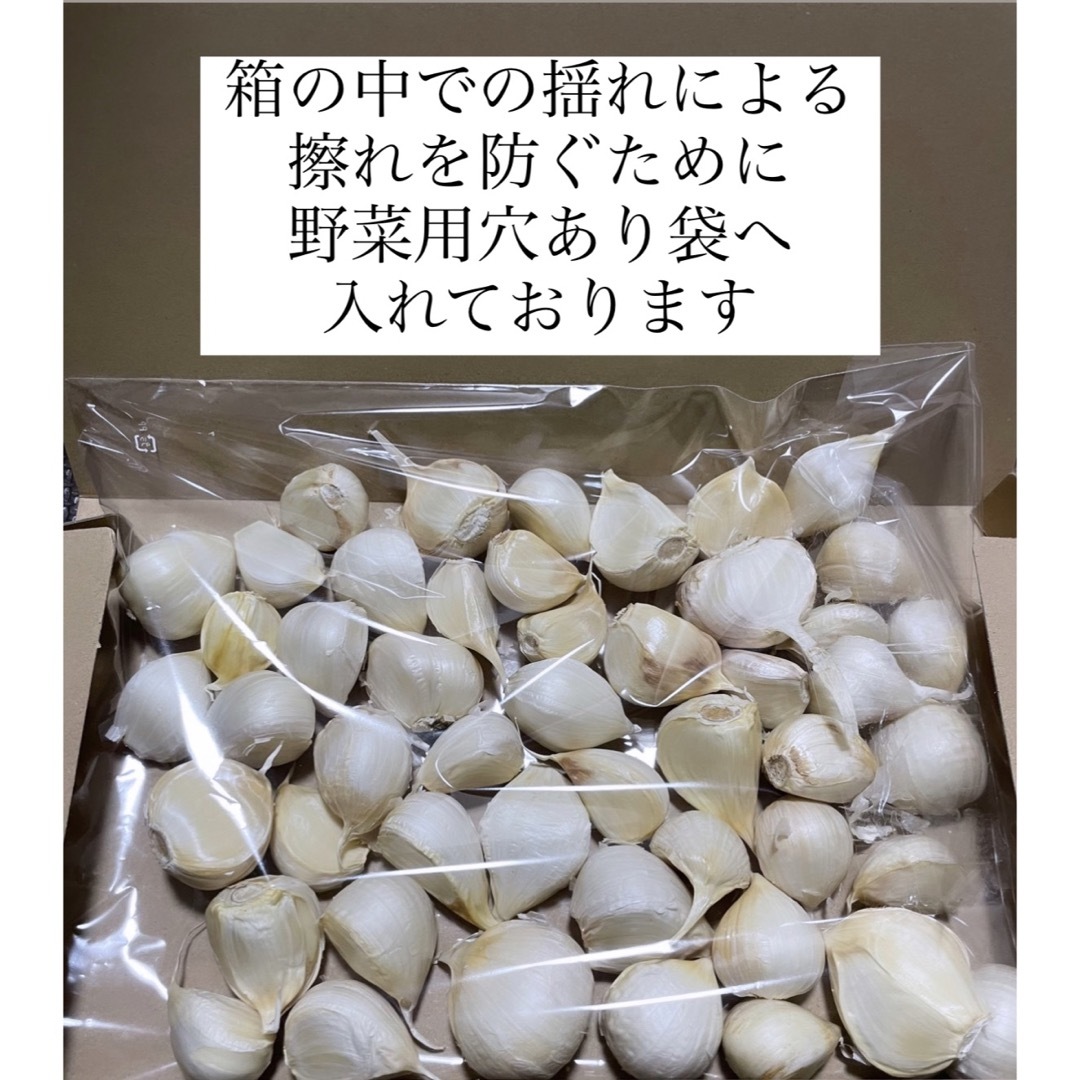 令和5年度 新物 『  少量パック  青森県産 ホワイト六片 ニンニク 500g 食品/飲料/酒の食品(野菜)の商品写真