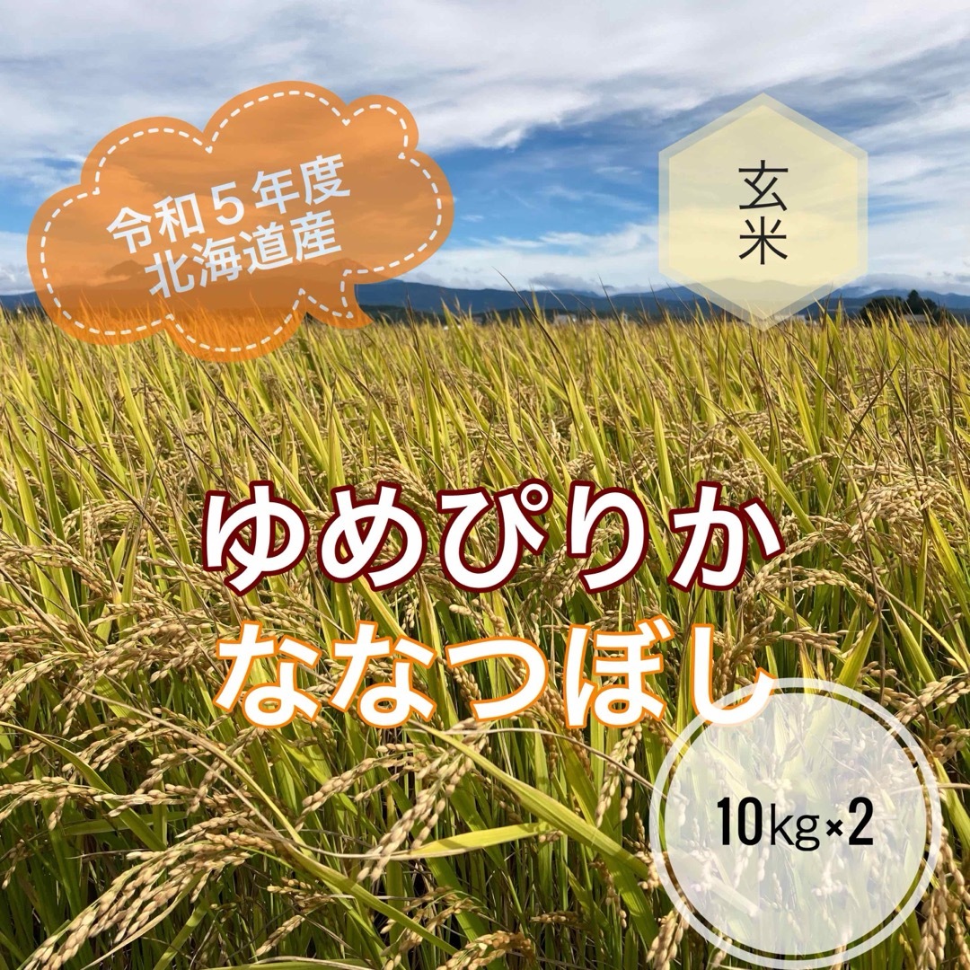 コメ令和5年度北海道産ゆめぴりかななつぼし玄米各10キロ食べくらべセット