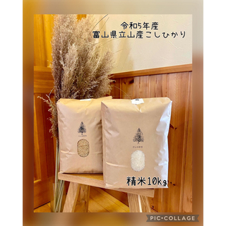 令和5年産　富山県立山産　こしひかり　精米10kg(米/穀物)