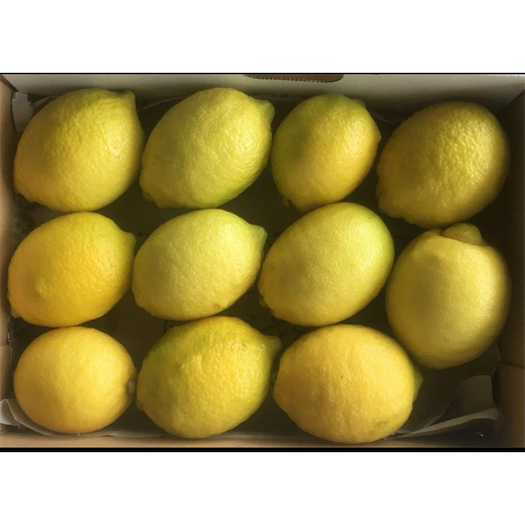レモン　無農薬　1.1kg(箱込み) 食品/飲料/酒の食品(フルーツ)の商品写真
