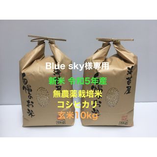 Blue sky様専用 新米 無農薬コシヒカリ玄米20kg(5kg×4)令和5年(米/穀物)