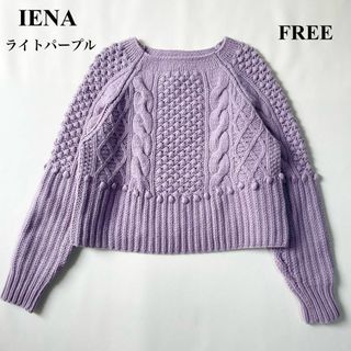 イエナ(IENA)の【美品】イエナ　ケーブルプルオーバーニット　かぎ編みニット　パープル　フリー(ニット/セーター)