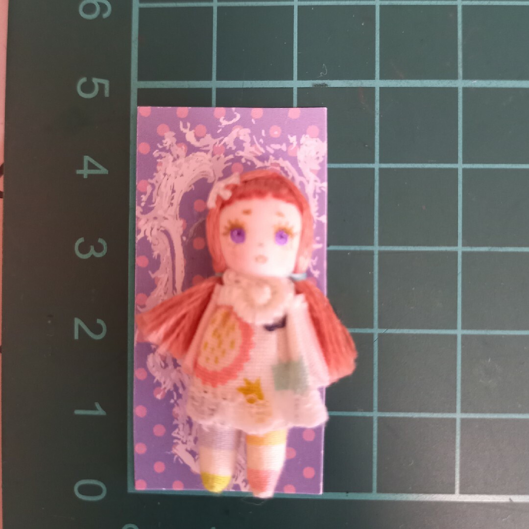 ブライス　アウトフィット　人形 ハンドメイドのぬいぐるみ/人形(人形)の商品写真