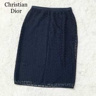 クリスチャンディオール(Christian Dior)の【未使用級】現行タグ クリスチャンディオール 刺繍 総柄 スカート フォーマル(ひざ丈スカート)