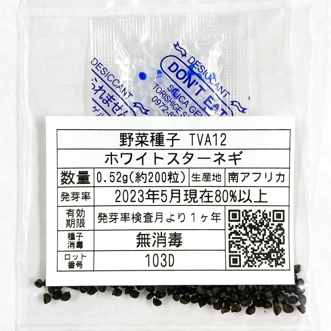 野菜種子 TVA12 ホワイトスターネギ 0.52g(約200粒) x 2袋 食品/飲料/酒の食品(野菜)の商品写真