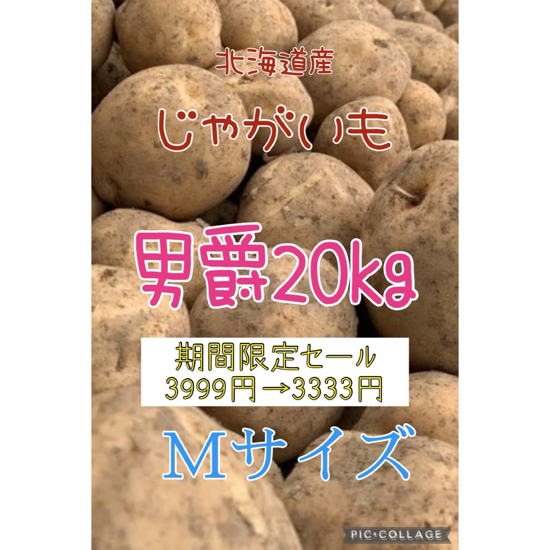 北海道産じゃがいも男爵20kg 食品/飲料/酒の食品(野菜)の商品写真