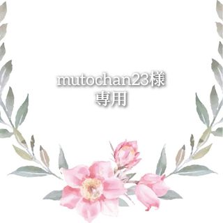 【 Mutochan23様 専用】2点おまとめ(Tシャツ/カットソー)