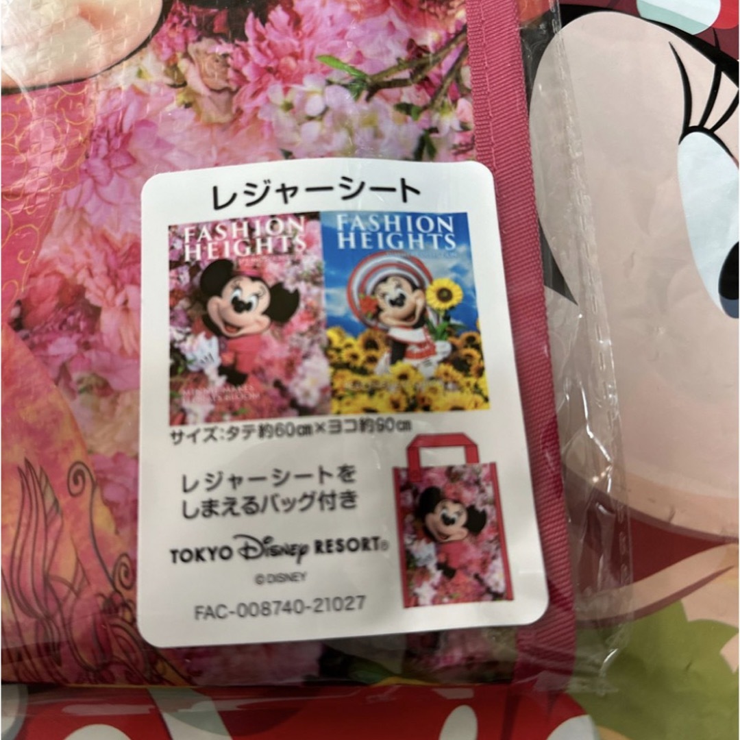 Disney(ディズニー)の★新品未開封★ディズニー　実写　ミニー　イマジニング   レジャーシート エンタメ/ホビーのおもちゃ/ぬいぐるみ(キャラクターグッズ)の商品写真