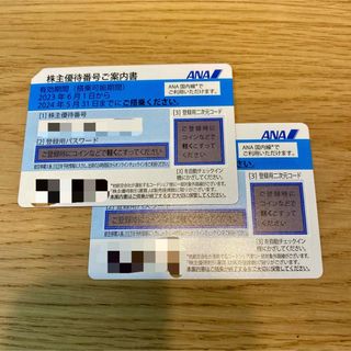 エーエヌエー(ゼンニッポンクウユ)(ANA(全日本空輸))のANA 株主優待券　2枚セット(航空券)