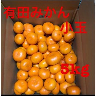 有田みかん(早生) 5kg(フルーツ)