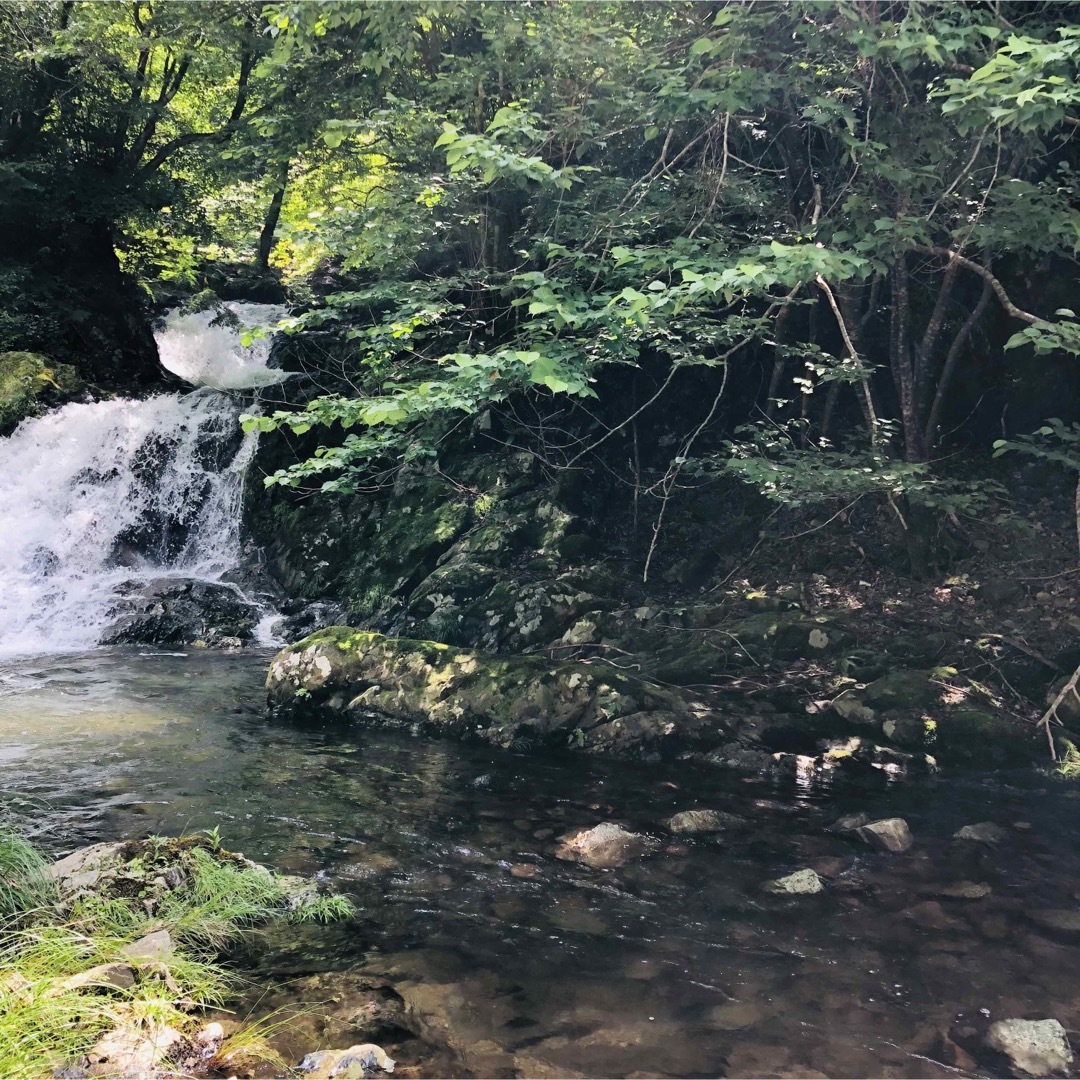 80サイズ たっぷり採れたて野菜詰め合わせ 食品/飲料/酒の食品(野菜)の商品写真