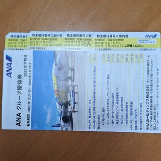 エーエヌエー(ゼンニッポンクウユ)(ANA(全日本空輸))のANA株主優待4枚+冊子(優待券)(その他)