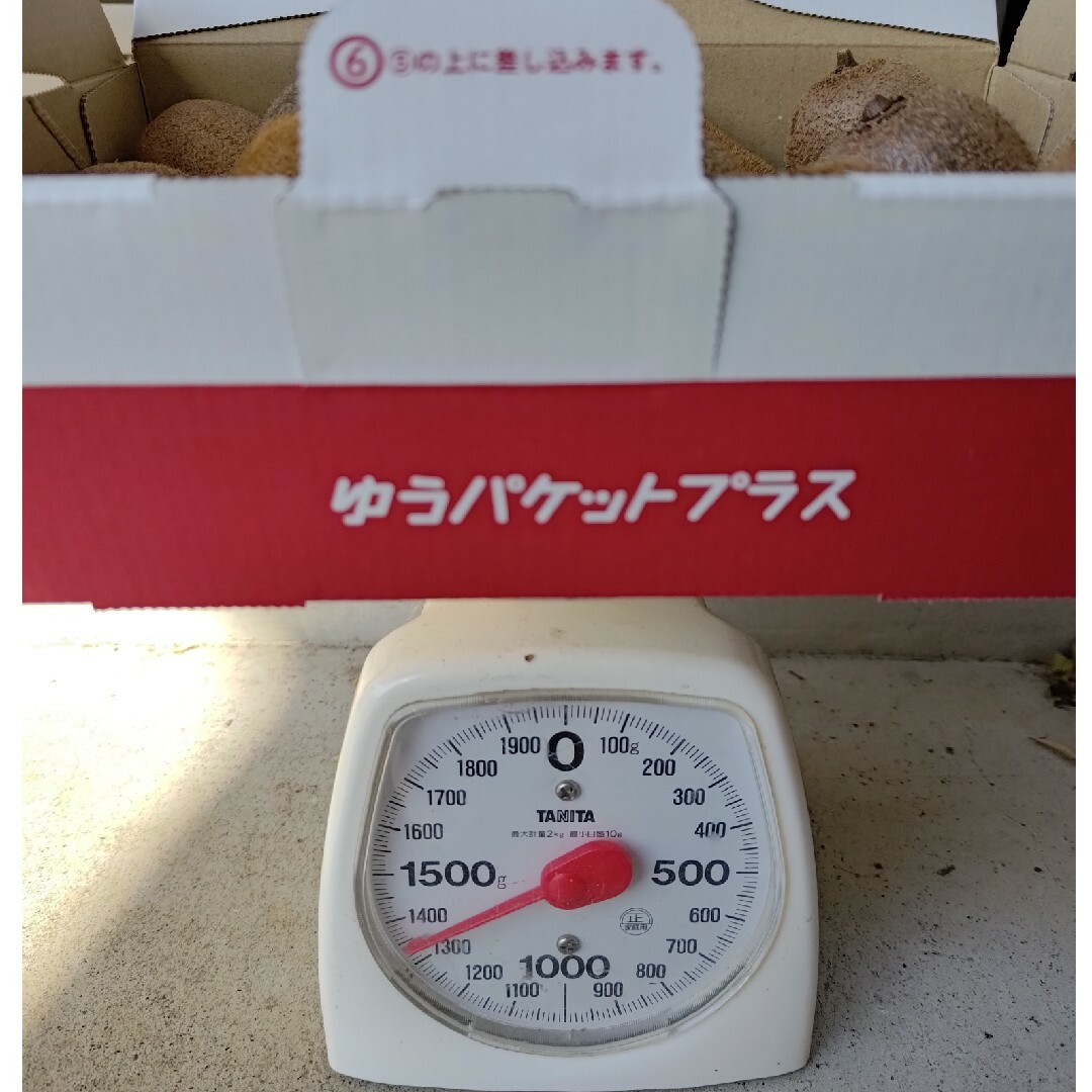 グリーンキウイ 1.3kg（箱込み）無農薬栽培 食品/飲料/酒の食品(フルーツ)の商品写真