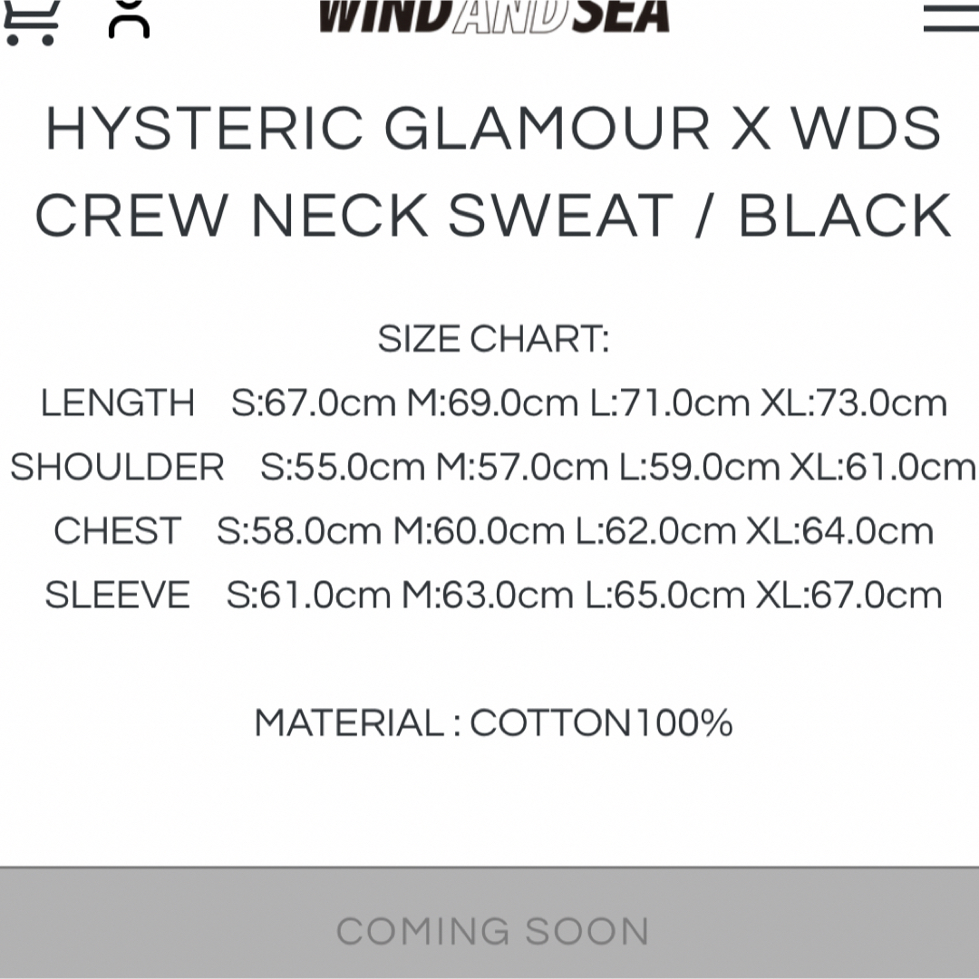 WIND AND SEA(ウィンダンシー)のHYSTERIC GLAMOUR×WIND AND SEA  SWEAT L メンズのトップス(Tシャツ/カットソー(七分/長袖))の商品写真