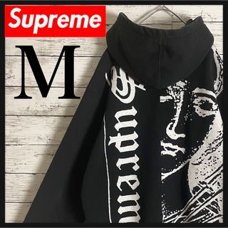 【希少】supreme 17SS Lサイズ プリント パーカー 大きいサイズ