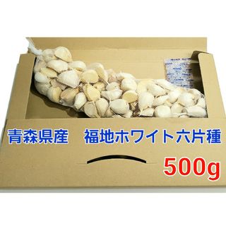 令和5年度　青森県産　500g　にんにく福地ホワイト(野菜)