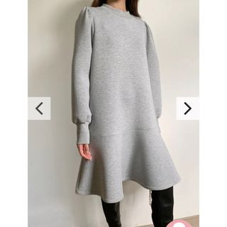 ザラ(ZARA)のbirtrday basuワンピース(ひざ丈ワンピース)