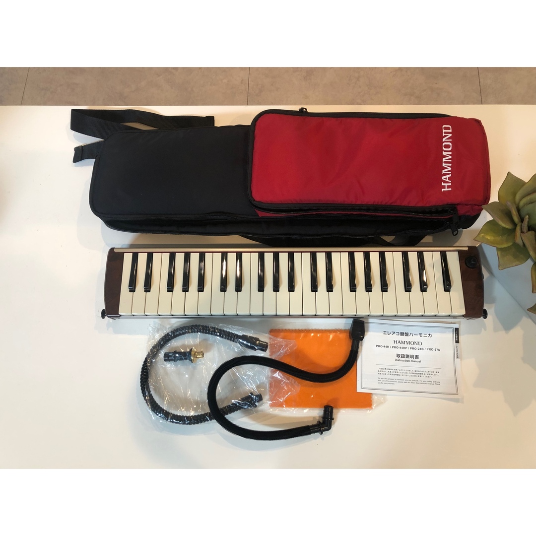 スズキ - ♪エレアコ鍵盤ハーモニカ HAMMOND PRO-44H♪撮影で1度使用