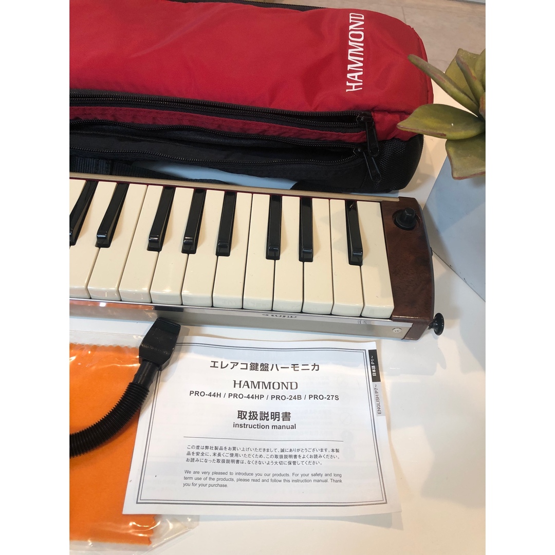 スズキ - ♪エレアコ鍵盤ハーモニカ HAMMOND PRO-44H♪撮影で1度使用