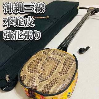 入門セット 沖縄三線 本蛇皮 強化張り 伝統楽器 弦楽器 本皮 和楽器楽器