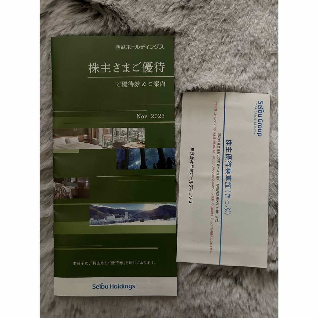 西武百貨店(セイブヒャッカテン)の西武HD株主優待　乗車証スキーリフト券など チケットの施設利用券(その他)の商品写真