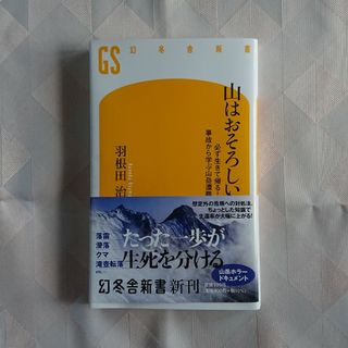 山はおそろしい(その他)