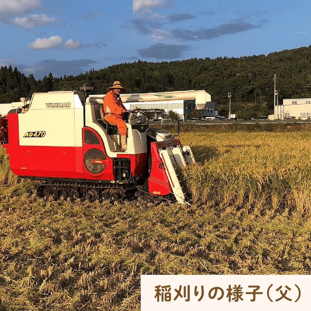 【送料無料！20kg】ブレンドなし！岩手県産・新米ひとめぼれ