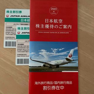 JAL 日本航空　株主優待券　株主割引券　２枚　冊子付き(航空券)