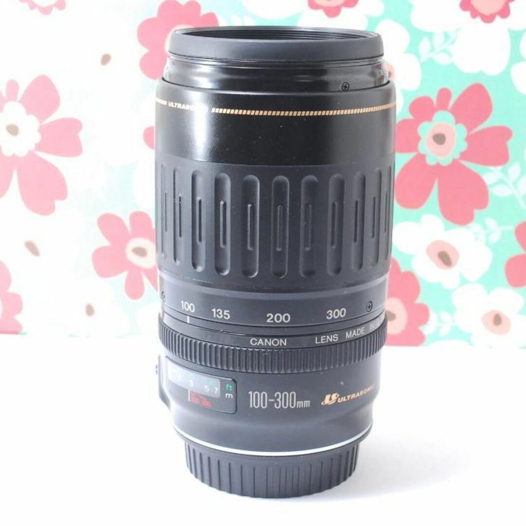 ❤️キャノン Canon EF 100-300mm F4-5.6 USM❤超望遠