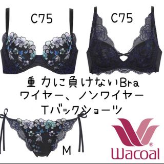 ワコール(Wacoal)の❤️Wacoal❤️完売品重力に負けないバストケアＢｒａC75   TバックM(ブラ&ショーツセット)