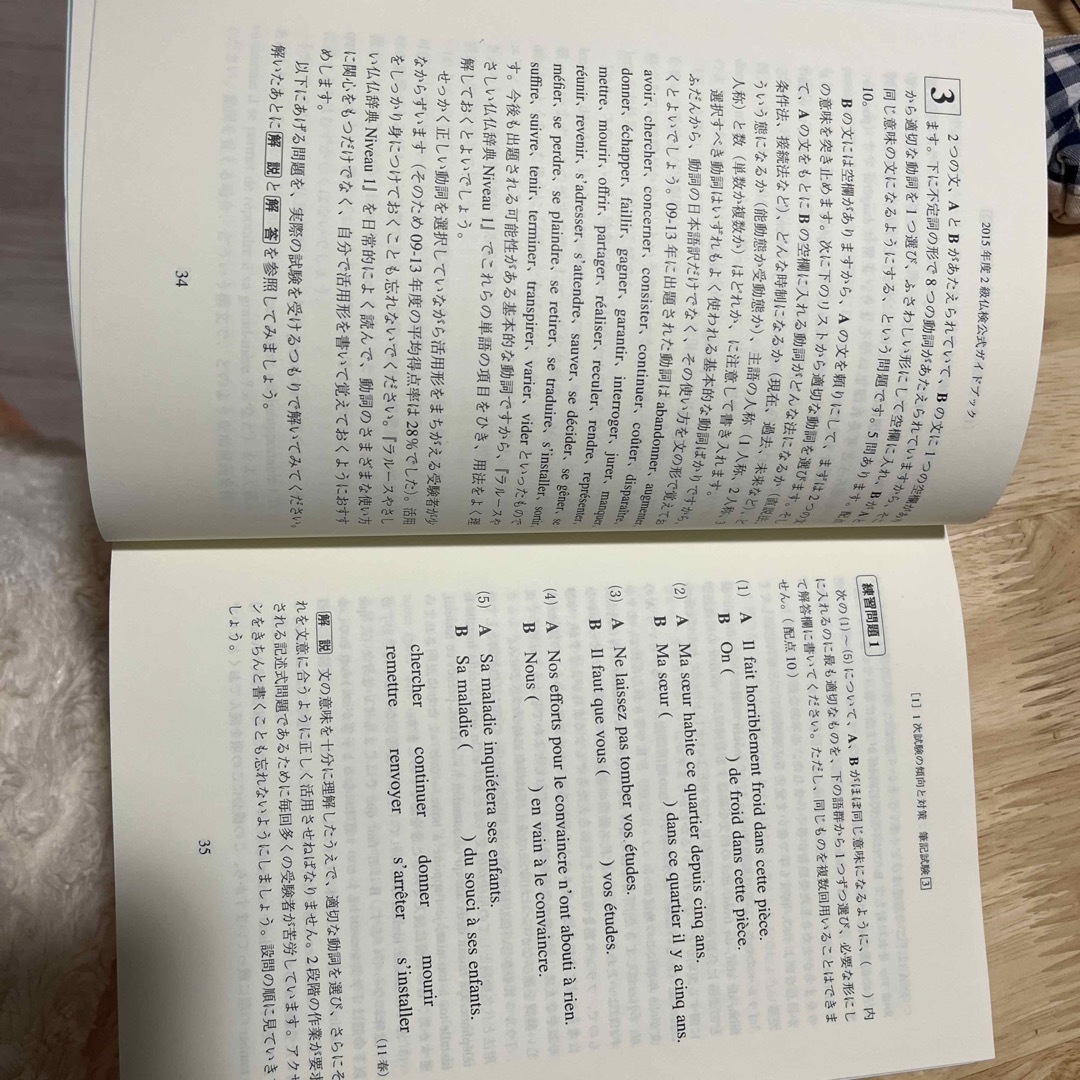 仏検公式ガイドブック　2015年 エンタメ/ホビーの本(語学/参考書)の商品写真