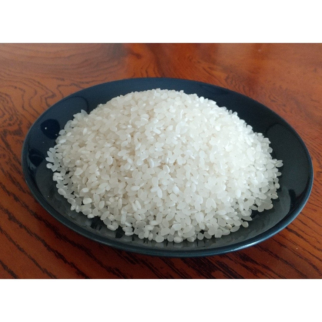 令和5年 福井県産 白米 10㎏ (農薬不使用) 食品/飲料/酒の食品(米/穀物)の商品写真