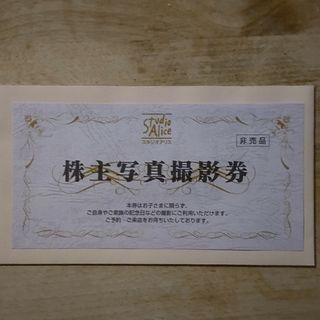 スタジオアリス 写真撮影券(その他)