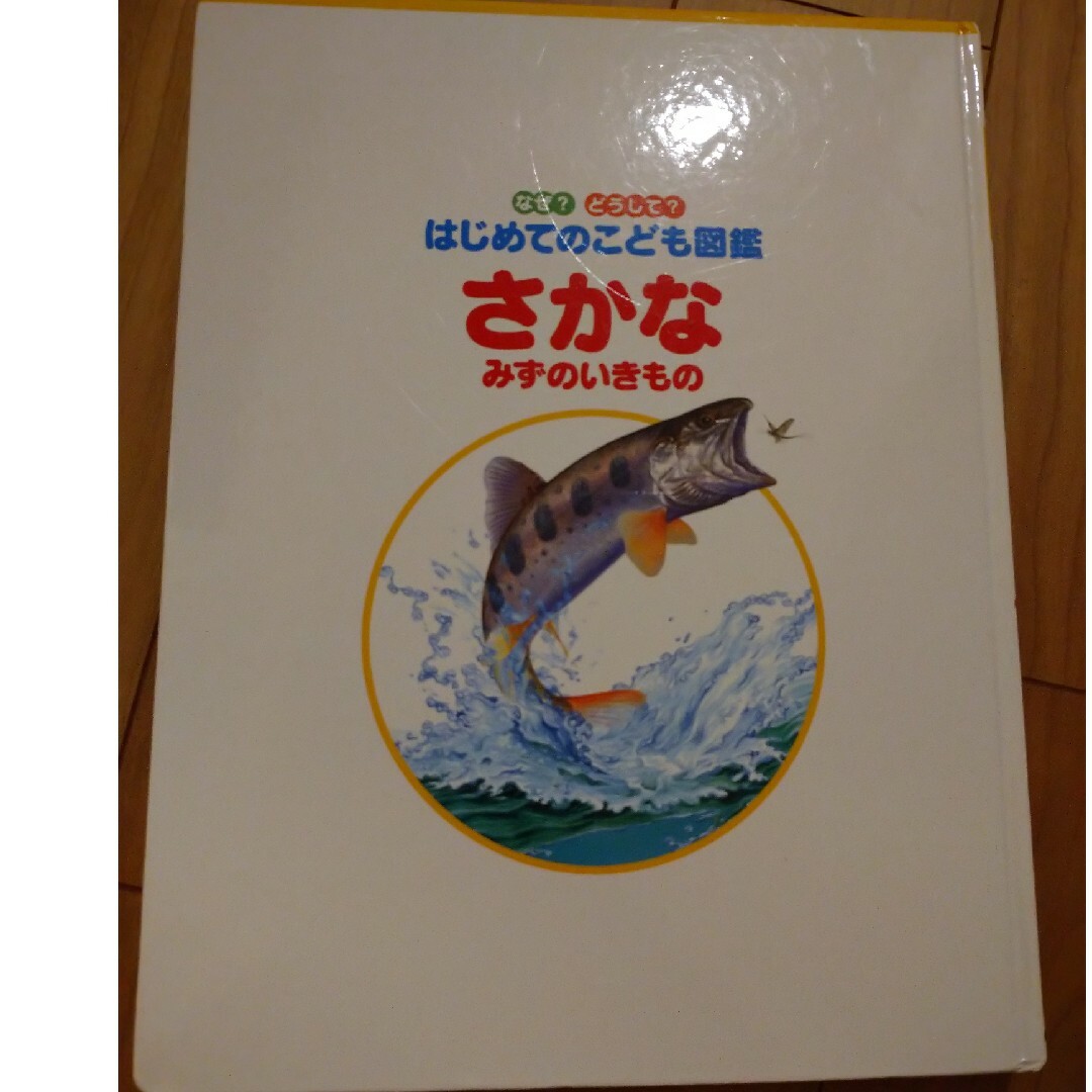 学研(ガッケン)のばめてのこども図鑑　さかな　みずのいきもの エンタメ/ホビーのフィギュア(その他)の商品写真