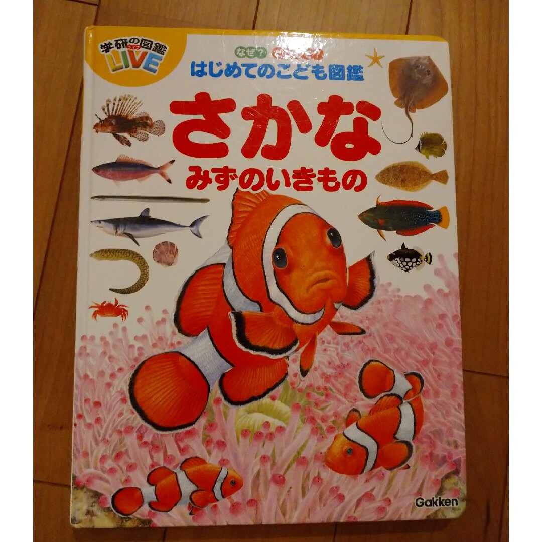 学研(ガッケン)のばめてのこども図鑑　さかな　みずのいきもの エンタメ/ホビーのフィギュア(その他)の商品写真