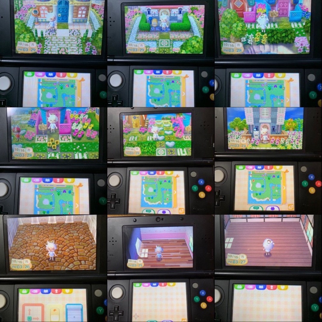 ニンテンドー3DS(ニンテンドー3DS)のとびだせ どうぶつの森 神データ やり込み エンタメ/ホビーのゲームソフト/ゲーム機本体(携帯用ゲームソフト)の商品写真