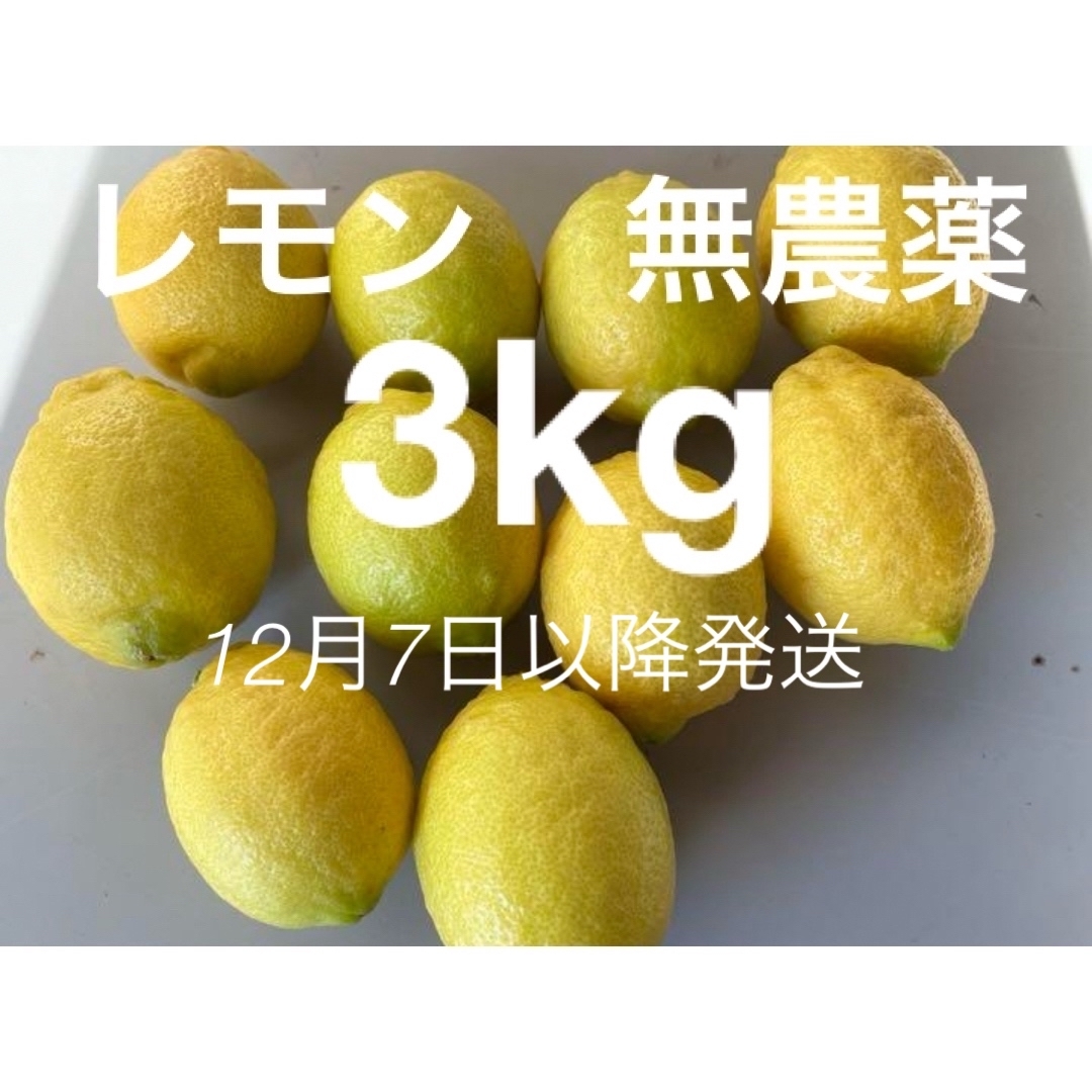 レモン　無農薬　3kg 食品/飲料/酒の食品(フルーツ)の商品写真