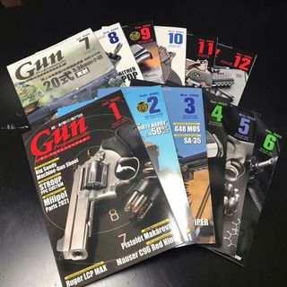 ホビージャパン(HobbyJAPAN)のGun Professionals 2022年 12冊セット(その他)