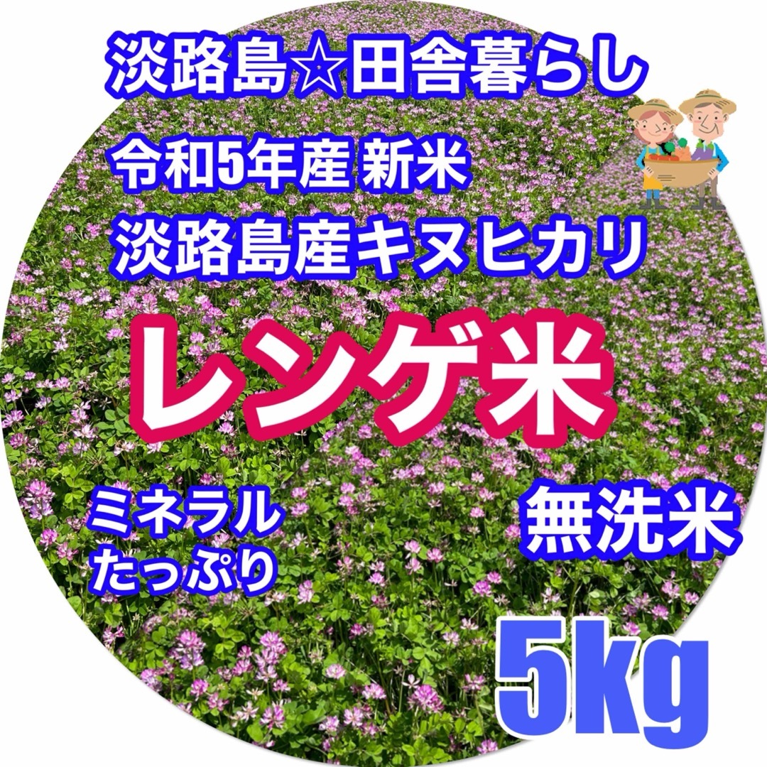 レンゲ米 令和5年新米 5kg キヌヒカリ 無洗米 れんげ米 減農薬 淡路島産 食品/飲料/酒の食品(米/穀物)の商品写真