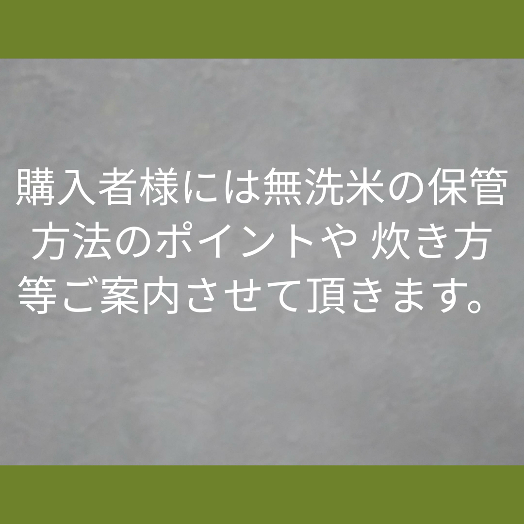 レンゲ米 令和5年新米 10kg キヌヒカリ 無洗米 れんげ米 減農薬 淡路島産 食品/飲料/酒の食品(米/穀物)の商品写真