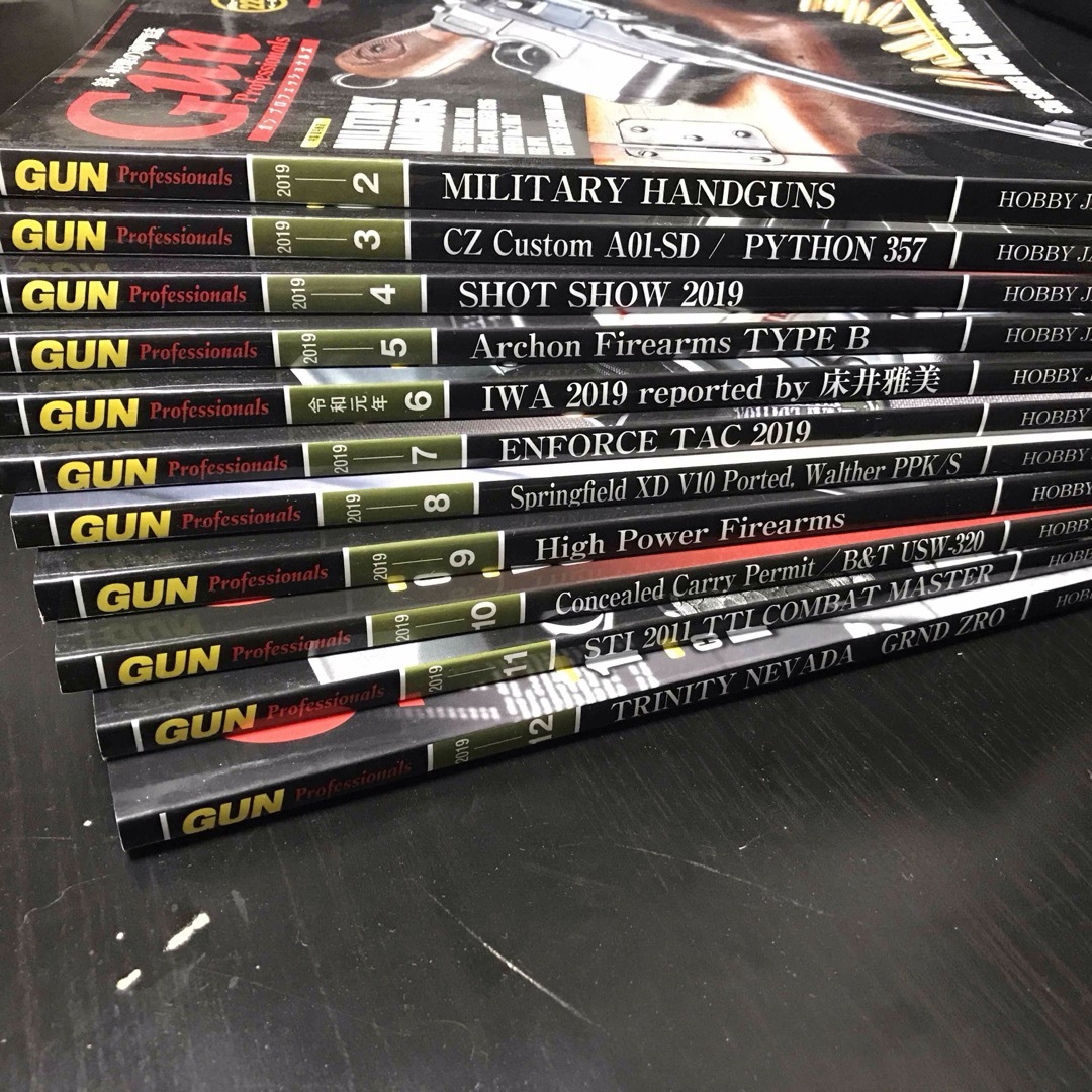 HobbyJAPAN(ホビージャパン)のGun Professionals 2019年 11冊セット11冊セット エンタメ/ホビーの雑誌(その他)の商品写真