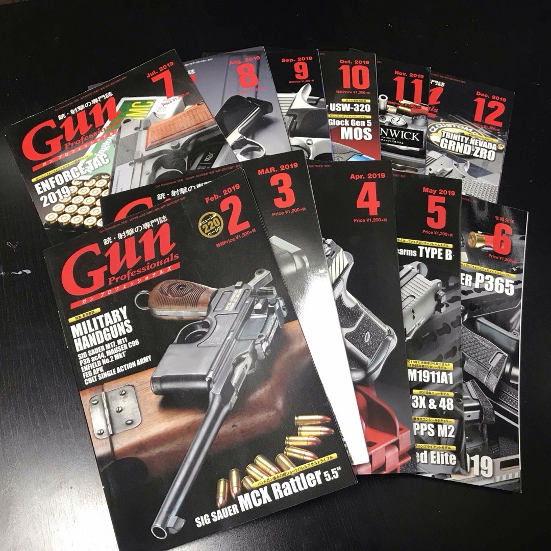 HobbyJAPAN(ホビージャパン)のGun Professionals 2019年 11冊セット11冊セット エンタメ/ホビーの雑誌(その他)の商品写真