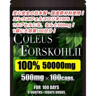 コレウスフォルスコリ 100％ 1粒500mg 100カプセル 100日分 1袋(その他)