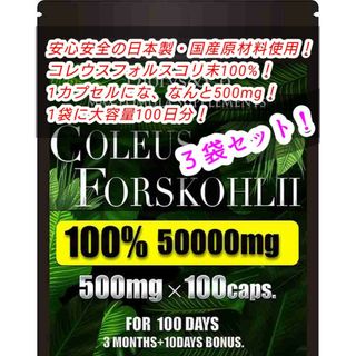 コレウスフォルスコリ 100％ 1粒500mg 3袋 300カプセル 300日分(ダイエット食品)